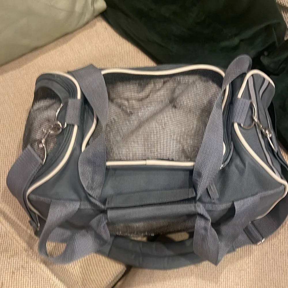 Small pet carrier